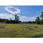 Zdjęcia użytkowników Xiaomi Mi 11 Ultra