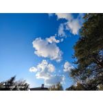 Zdjęcia użytkowników Xiaomi Mi 11 Ultra