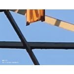 Zdjęcia użytkowników Xiaomi Mi 11 Ultra