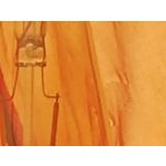 Zdjęcia użytkowników Xiaomi Mi 11 Ultra