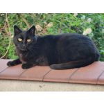 Zdjęcia użytkowników Xiaomi Mi 11 Ultra