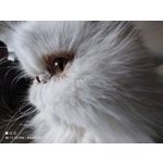 Zdjęcia użytkowników Xiaomi Mi 11 Ultra