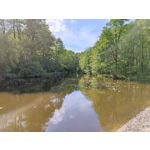 Zdjęcia użytkowników Xiaomi Mi 11 Ultra