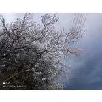 Zdjęcia użytkowników Xiaomi Mi 11 Ultra