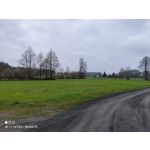 Zdjęcia użytkowników Xiaomi Mi 11 Ultra