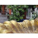 Zdjęcia użytkowników Xiaomi Mi 11 Ultra