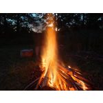 Zdjęcia użytkowników Xiaomi Mi 11 Ultra