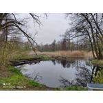 Zdjęcia użytkowników Xiaomi Mi 11 Ultra