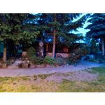 Zdjęcia użytkowników Xiaomi Mi 11 Ultra