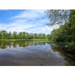 Zdjęcia użytkowników Xiaomi Mi 11 Ultra