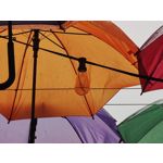 Zdjęcia użytkowników Xiaomi Mi 11 Ultra