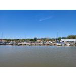 Zdjęcia użytkowników Xiaomi Mi 11i