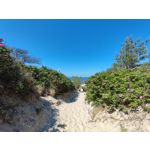 Zdjęcia użytkowników Xiaomi Mi 11i