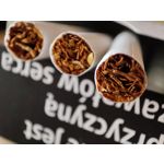 Zdjęcia użytkowników Xiaomi Mi 11i