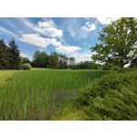 Zdjęcia użytkowników Xiaomi Mi 11i