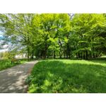 Zdjęcia użytkowników Xiaomi Mi 11i