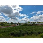 Zdjęcia użytkowników Xiaomi Mi 11i