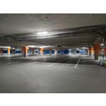 Zdjęcia użytkowników Xiaomi Mi 11i