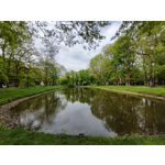 Zdjęcia użytkowników Xiaomi Mi 11i