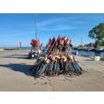 Zdjęcia użytkowników Xiaomi Mi 11i