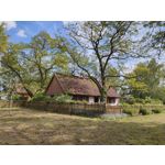 Zdjęcia użytkowników Xiaomi Mi 11i