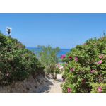 Zdjęcia użytkowników Xiaomi Mi 11i