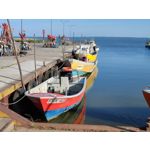 Zdjęcia użytkowników Xiaomi Mi 11i