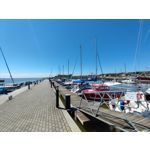 Zdjęcia użytkowników Xiaomi Mi 11i