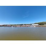 Zdjęcia użytkowników Xiaomi Mi 11i