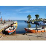 Zdjęcia użytkowników Xiaomi Mi 11i