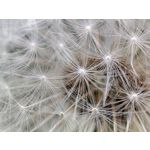 Zdjęcia użytkowników Xiaomi Mi 11i