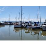 Zdjęcia użytkowników Xiaomi Mi 11i