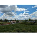 Zdjęcia użytkowników Xiaomi Mi 11i