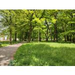 Zdjęcia użytkowników Xiaomi Mi 11i