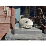 Zdjęcia użytkowników Xiaomi Mi 11i