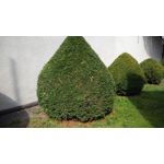 Zdjęcia użytkowników Xiaomi MI-3