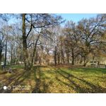 Zdjęcia użytkowników Xiaomi Mi 8 Lite