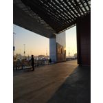 Zdjęcia użytkowników Xiaomi Mi 8 Lite