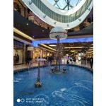 Zdjęcia użytkowników Xiaomi Mi 8 Lite