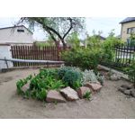 Zdjęcia użytkowników Xiaomi Mi 8 Lite