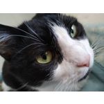Zdjęcia użytkowników Xiaomi Mi 8 Youth Zdjęcia użytkowników Xiaomi Mi 8 Youth