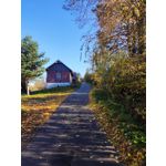 Zdjęcia użytkowników Xiaomi Mi 9 Lite Zdjęcia użytkowników Xiaomi Mi 9 Lite