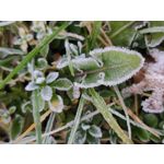 Zdjęcia użytkowników Xiaomi Mi 9 Lite Zdjęcia użytkowników Xiaomi Mi 9 Lite