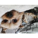 Zdjęcia użytkowników Xiaomi Mi 9 Lite Zdjęcia użytkowników Xiaomi Mi 9 Lite