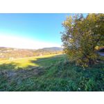 Zdjęcia użytkowników Xiaomi Mi 9 Lite Zdjęcia użytkowników Xiaomi Mi 9 Lite