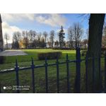 Zdjęcia użytkowników Xiaomi Mi 9 Lite Zdjęcia użytkowników Xiaomi Mi 9 Lite