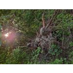 Zdjęcia użytkowników Xiaomi Mi 9 Lite Zdjęcia użytkowników Xiaomi Mi 9 Lite