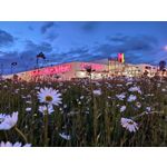 Zdjęcia użytkowników Xiaomi Mi 9 Lite Zdjęcia użytkowników Xiaomi Mi 9 Lite