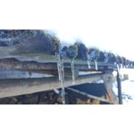 Zdjęcia użytkowników Xiaomi Mi 9 Lite Zdjęcia użytkowników Xiaomi Mi 9 Lite