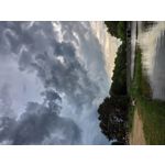 Zdjęcia użytkowników Xiaomi Mi 9 Lite Zdjęcia użytkowników Xiaomi Mi 9 Lite